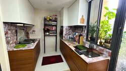 The Miltonia Residences (D27), Condominium #451905241